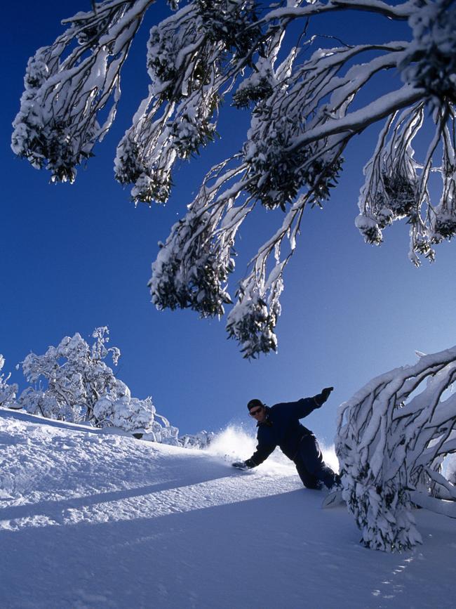 Snowboarding in Perisher.