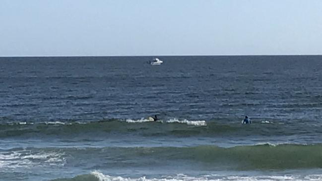 A Sea World marine rescue boat was able to set the calf humpback whale free from the shark nets off Burleigh Heads this morning. Picture: Emily Halloran.