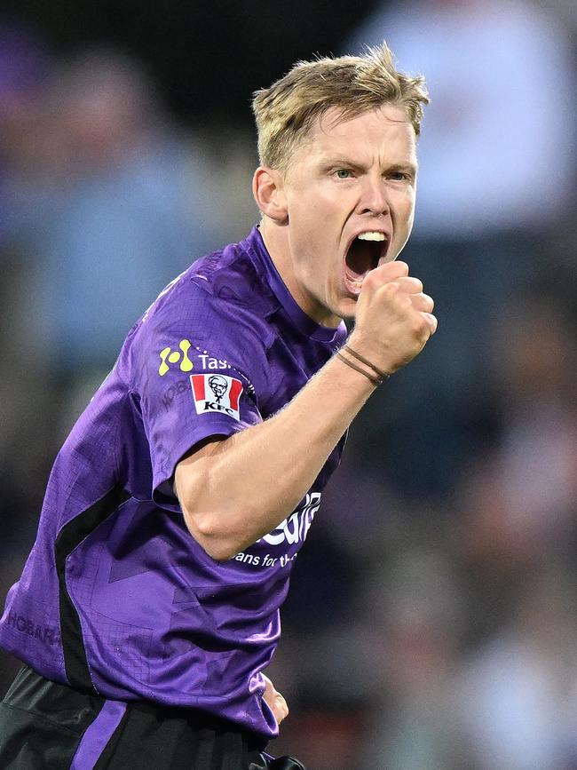 Nathan Ellis is Hobart’s new captain. Picture: Steve Bell/Getty Images