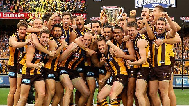 Hawks 2103 premiers