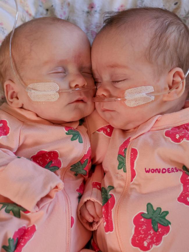 Premature twin girls Adeline and Audrey Hockings.