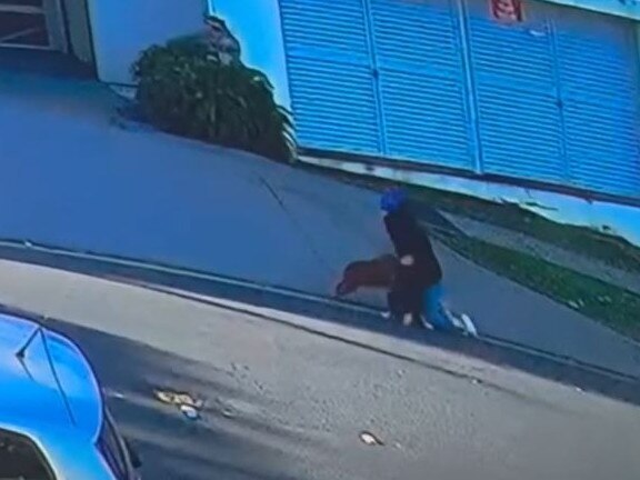 A woman and her dog is attacked by an off-lead dog in Hawthorne on Wednesday. Photo: Supplied