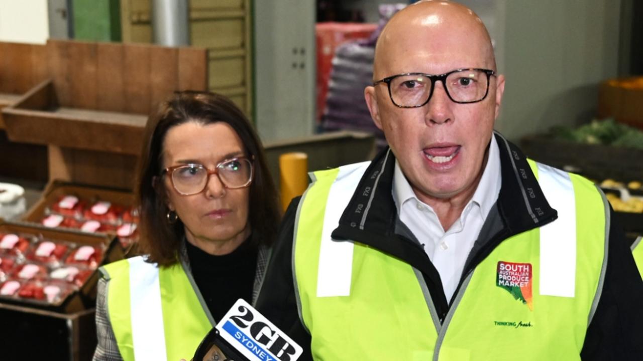 ‘Working my guts out’: PM, Dutton in brutal late dash for voters