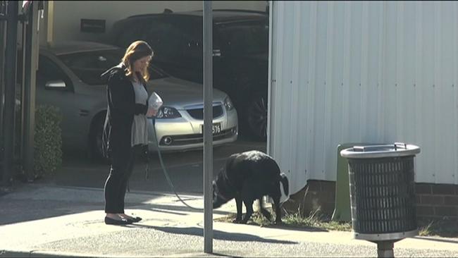 A staff member takes Emma Husar's dog for a walk. Picture: Seven News