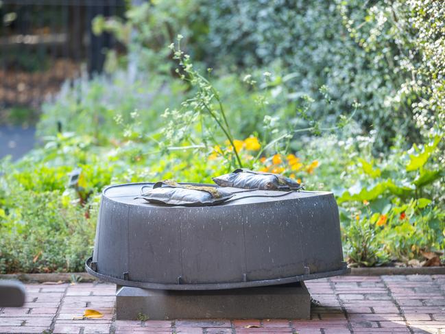 The Captain Cook statue at Cooks’ Cottage was sawn off its base on February 26. Picture: Jake Nowakowski