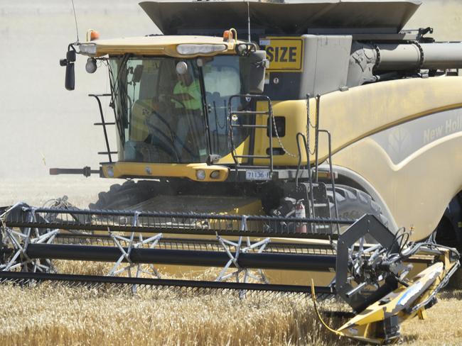 Greater action: By harvest, it’s likely some traders will be prepared to post premiums for malting barley.