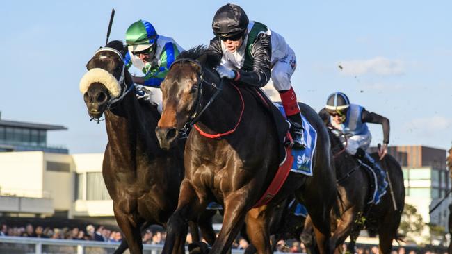 Bookies have Mr Brightside as the opening favourite to complete his fifth straight win in the Group 1 Makybe Diva Stakes. Picture: Picture: Getty Images.