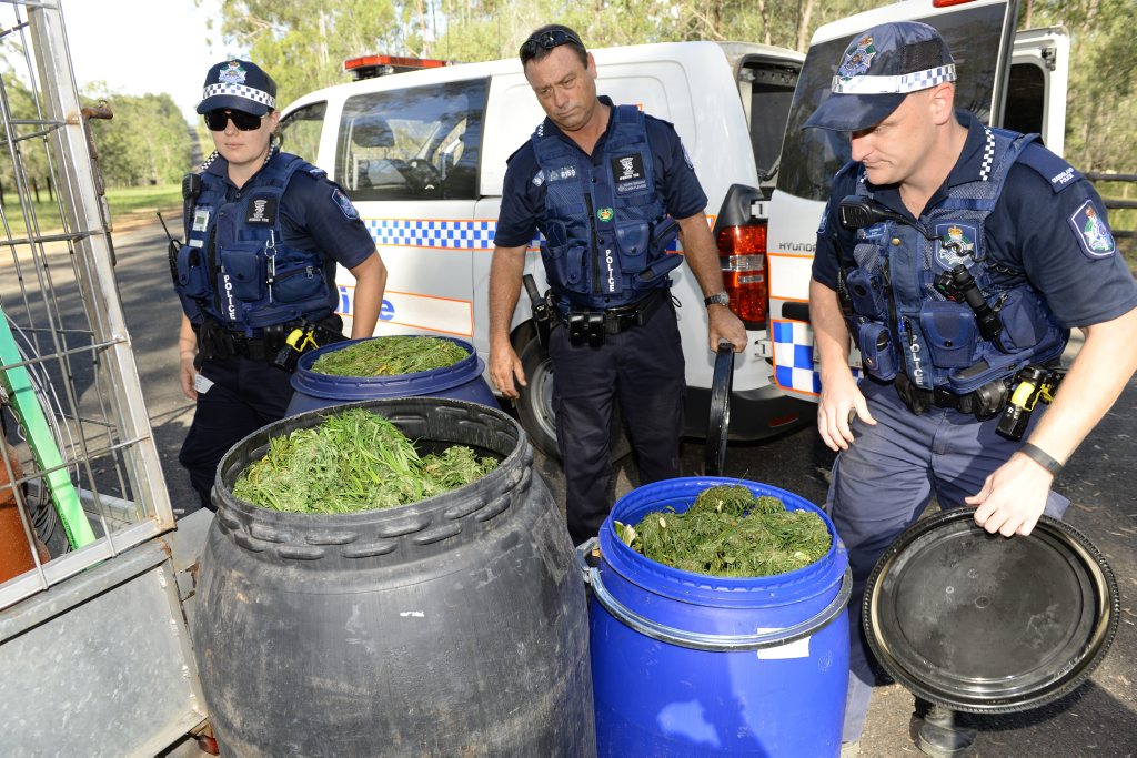 Police uncovered a massive amount of cannabis on a property on Wattle Road in Coominya on Friday. Photo: Rob Williams / The Queensland Times. Picture: Rob Williams