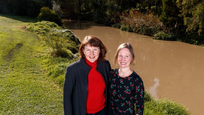 Helen McDonald and Juliet Hall led the campaign for the bridge. Picture: Mark Dadswell