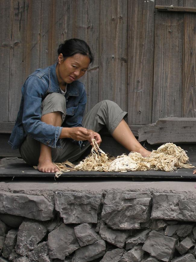 A woman shreds bleached bark for paper in Shiqiao village - Miao people. PicDoug/Parrington