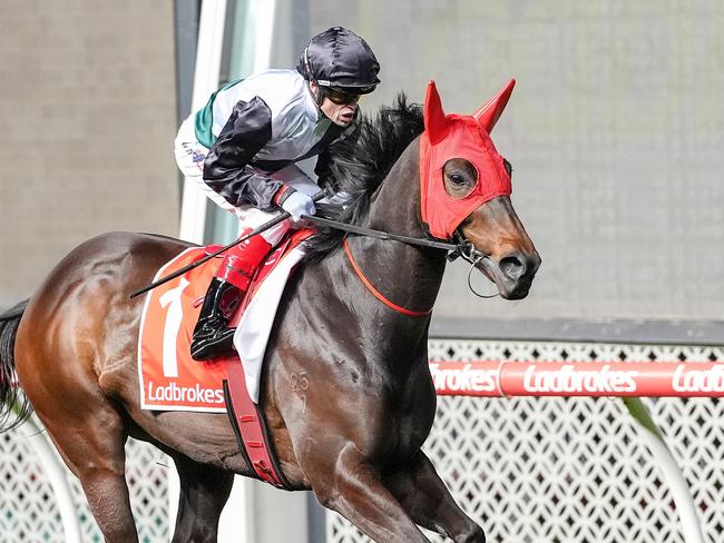 Mr Brightside (NZ) on the way to the barriers prior to the running of the Ladbrokes Feehan Stakes at Moonee Valley Racecourse on September 27, 2024 in Moonee Ponds, Australia. (Photo by George Salpigtidis/Racing Photos via Getty Images)