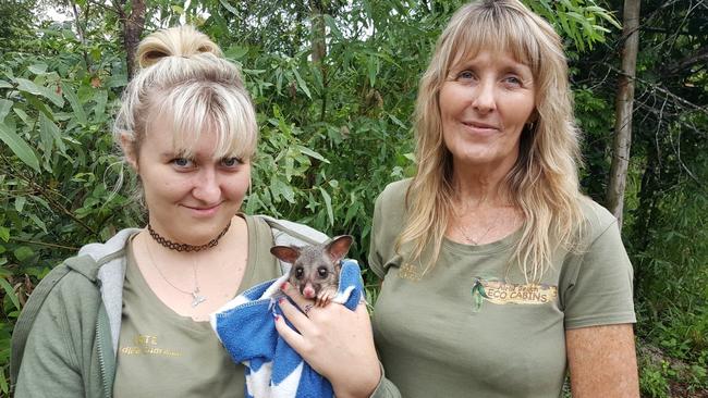 Airlie Beach Eco Cabins' wildlife carers Gail Barrett and Katrina Barrett. Picture: Facebook