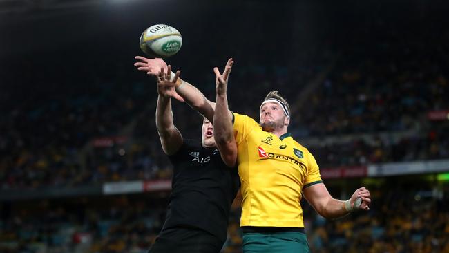 SYDNEY, AUSTRALIA - AUGUST 18: Izack Rodda of the Wallabies takes a lineout ball during The Rugby Championship Bledisloe Cup match between the Australian Wallabies and the New Zealand All Blacks at ANZ Stadium on August 18, 2018 in Sydney, Australia. (Photo by Cameron Spencer/Getty Images)