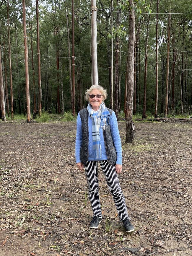 Margret Meagher, of Hello Koalas, said it's simply fantastic to see the first stage of Guulabaa unveiled. The WildNets wiring can be seen in the trees behind.