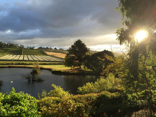 Picture perfect Josef Chromy Wines in Launceston. Picture: Supplied