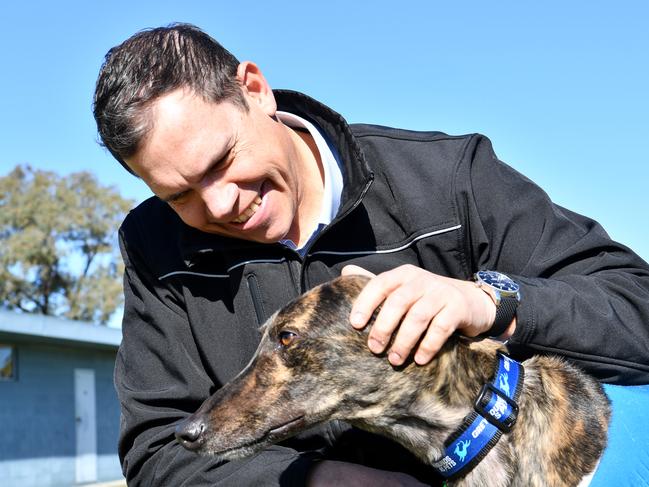 Greyhounds NSW chief executive Tony Mestrov. Picture: Supplied