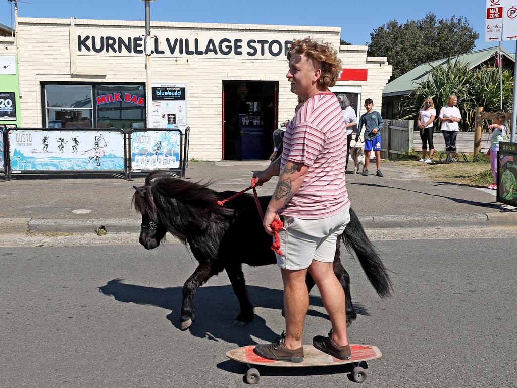 Suburban celebrity Jimmy the miniature horse may be a little on the small size, but he scores big points with local kids in lockdown. Picture: Toby Zerna