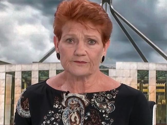 Pauline Hanson to appeal racist court ruling