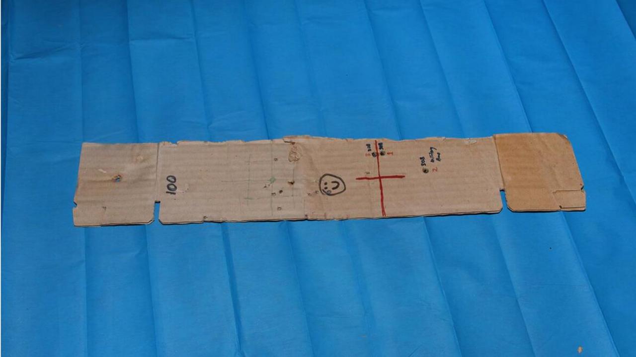 A cardboard target with a smiley face drawn on it located at the property.