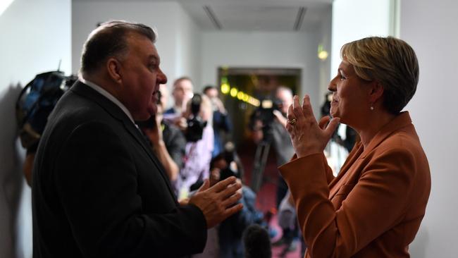 Liberal member for Hughes Craig Kelly and Labor’s Sydney MP Tanya Plibersek at Parliament House on Wednesday. Picture: Getty Images