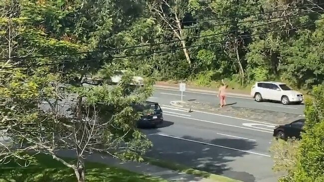 Will Thornton stops traffic on the Gold Coast Highway at Burleigh Heads to help a koala cross the road.