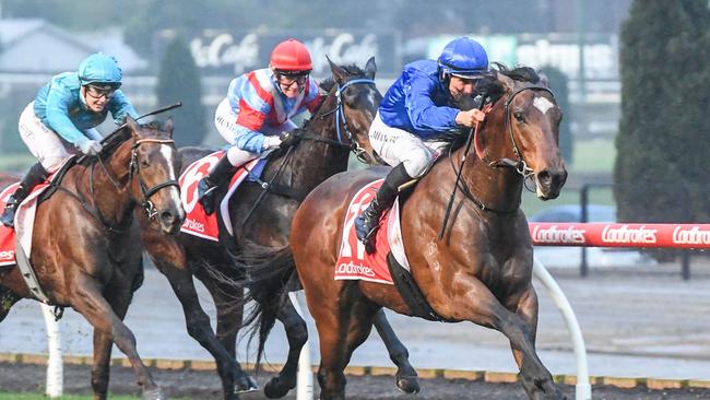 Pereille is Tony Thomas’ best bet at The Valley on Saturday. Picture: Racing Photos via Getty Images