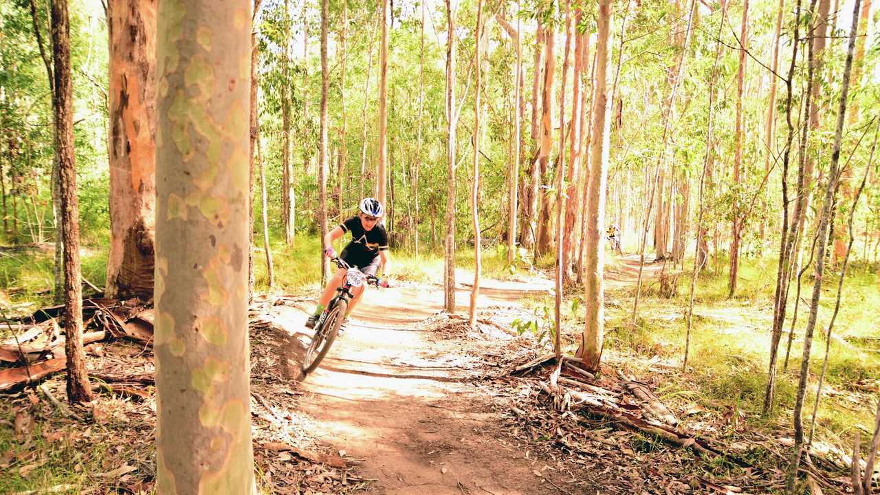 new italy mountain bike forest