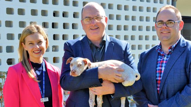 Happy Paws deputy CEO Kellie Ireland and Westpac Foundation community ambassadors Jamie Preston (centre) and Nathan Eccles with Hugo the cattle dog cross. Picture: Rhylea Millar