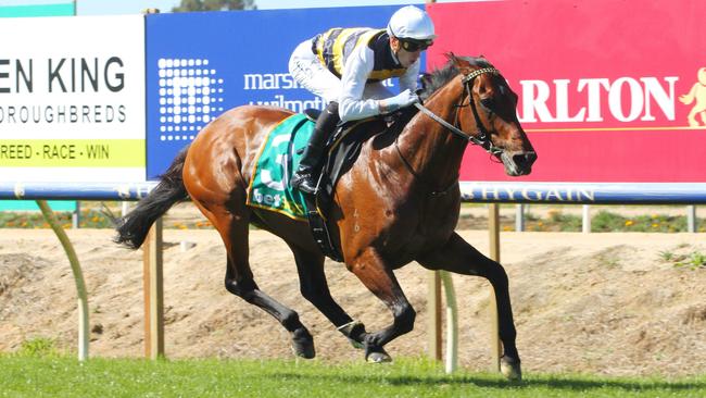 Eagles Crag can make it back-to-back wins in the opening race at Caulfield. Picture: Racing Photos via Getty Images