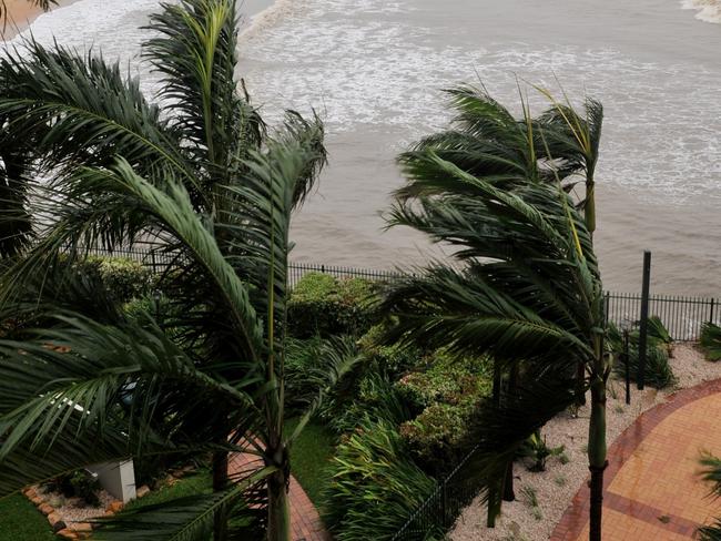 Cyclone Yasi hits Townsville . The Strand wiith strong gusts of wind long after the cyclone passed.