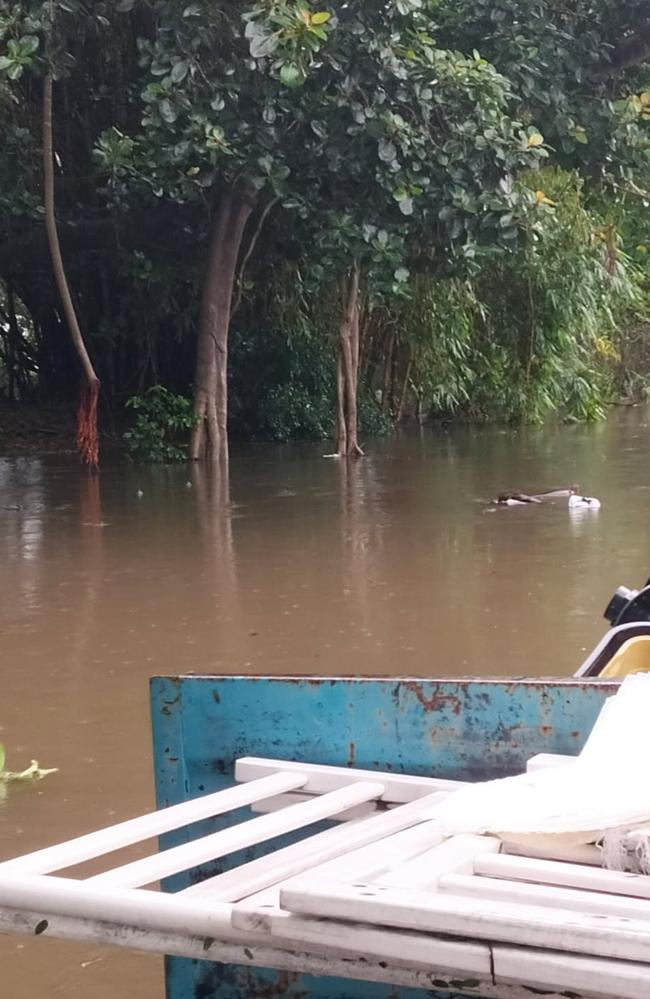 The flooded council land next to her home Currajong on Wednesday