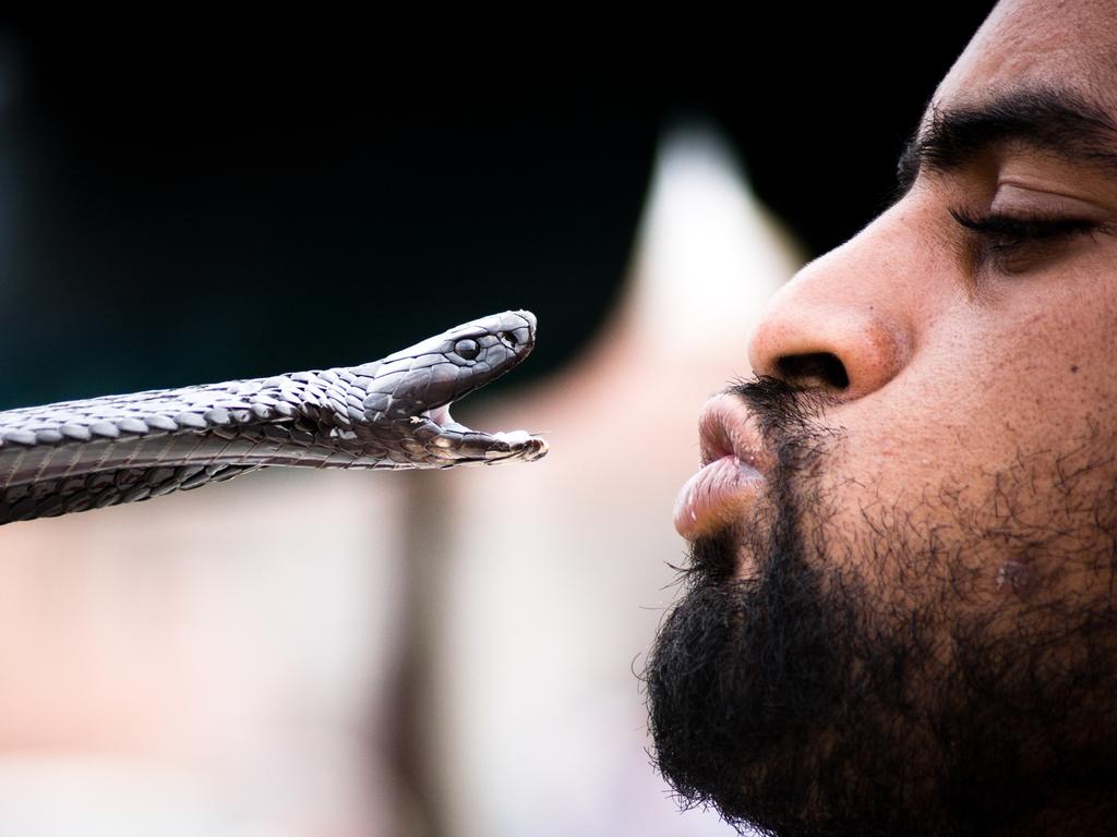 Djemaa el Fna, Marrakech, Morocco, North Africa, Africa - September 27th, 2008: snake charmer simulates to kiss a cobra snake during an exhibition in the market square of Marrakesh.