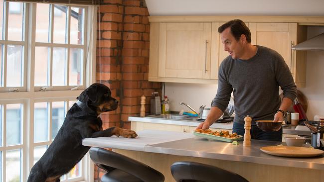 Will Arnett in a scene from <i>Show Dogs</i>. Picture: Supplied