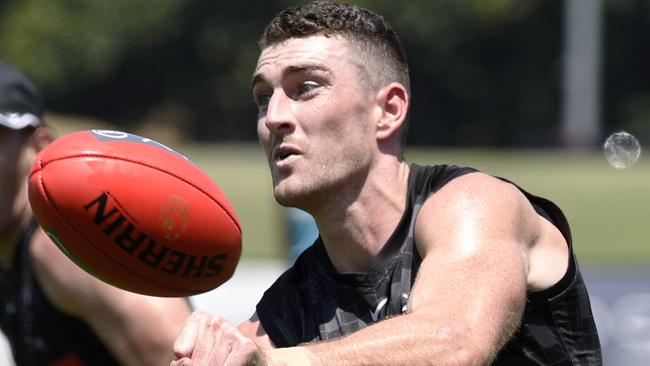 Daniel McStay at Collingwood training. Picture: Andrew Henshaw