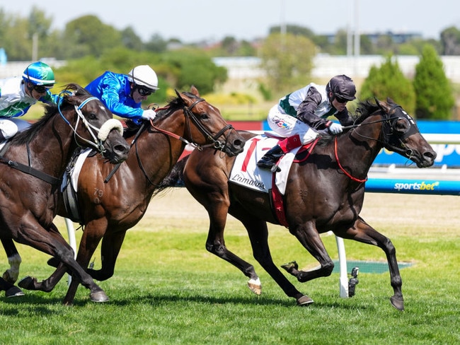 Mr Brightside holds off the fast finishing Tom Kitten (white cap) to win the Futurity Stakes at Caulfield on Saturday. Photo: Scott Barbour/Getty Images.