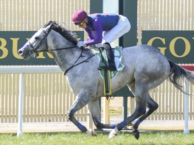 Talented Danny Williams-trained galloper Kreon wins at Goulburn in September last year. PIcture: Bradley Photos