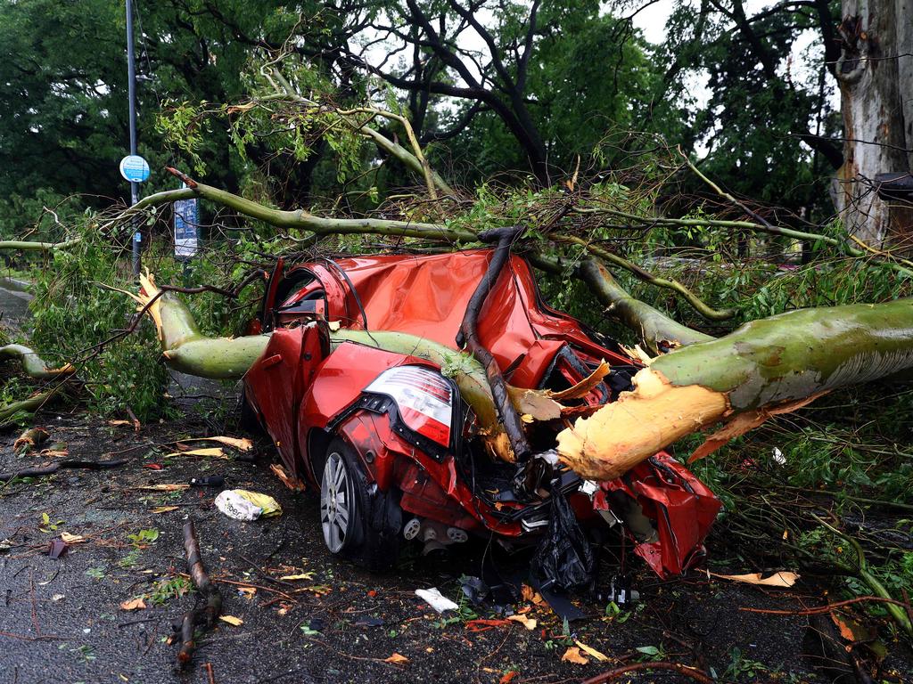 A car is smashed by a fallen tree following a strong storm that hit Buenos Aires, which caused the deaths of 13 people. Picture: Alejandro Pagni/AFP