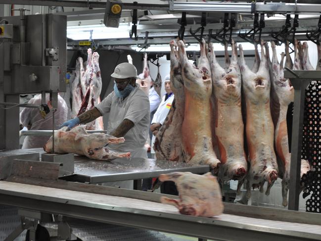 Lamb carcasses in the boning room at the Australian Lamb Company abattoir at Colac.