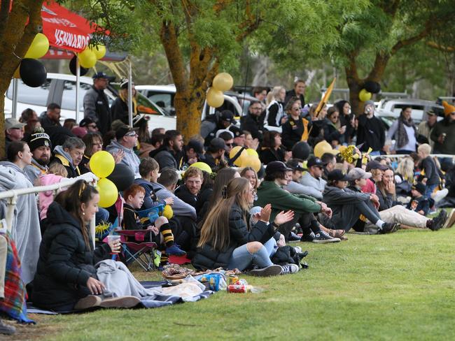 Lobethal fans were out in force at the Hills grand final. Picture: Emma Brasier.