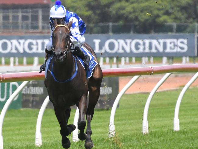 Brenton Avdulla rides Villami to victory at Rosehill Gardens in February.