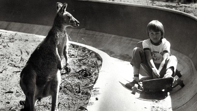 Long gone are the days of the toboggan at the Gumbuya Park in 1982.