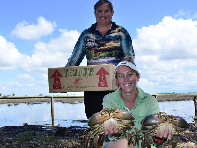 Commercial seafood courier Robert Hutton and commercial crabber Sienna Green are hoping they will be able to freight live mudcrabs Sydney after freight flights out of North Queensland were cut.