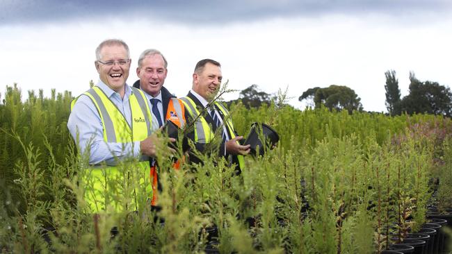 (L-R) Prime Minister Scott Morrison, Senator Richard Colbeck and Braddon candidate Gavin Pearce at the Forico Nursery at Somerset, North West Tasmania. PICTURE CHRIS KIDD