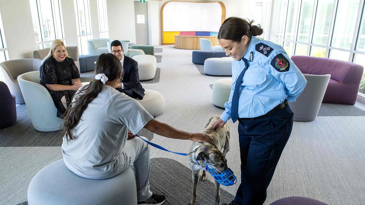 Adelaide Women’s Prison and Adelaide Pre-Release Centre Managing Director, Ida Petraccaro pats Nanna the greyhound being retrained by Sarah during a visit to the Adelaide Womens Prison Visiting Centre. Picture: Mark Brake