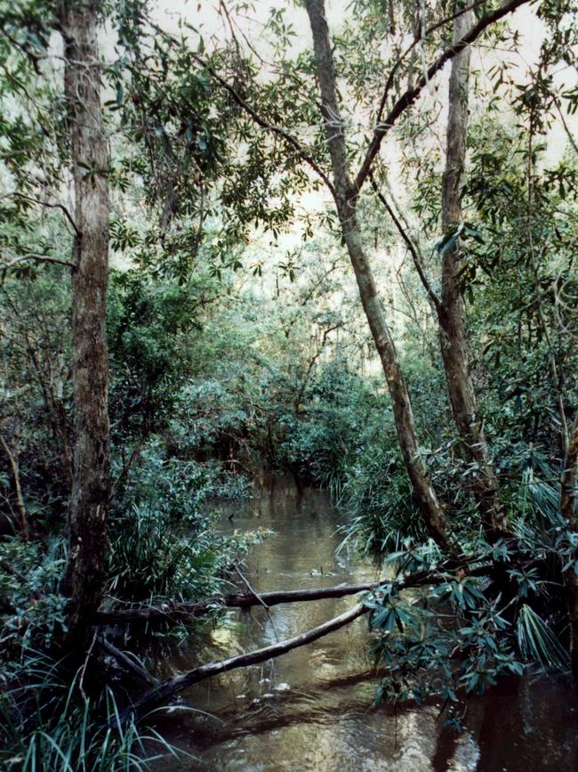 The road into the Yeerung River Gorge, is still closed.