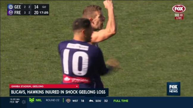 Dockers upset Cats down at Geelong