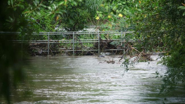 Areas of Brisbane received 80mm of rain last week, exacerbating the threat of mosquito diseases. Picture: NewsWire / Glenn Campbell