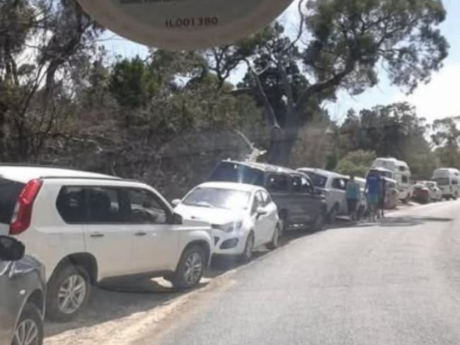 Cars parked along nature park on January 3 showing peak season