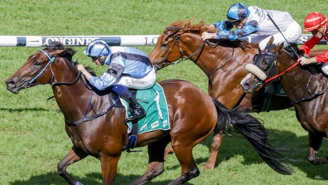Fourmadec (inside) is coming off a third to Mr Hussill and can win the Queen Of The South. Picture: Getty Images