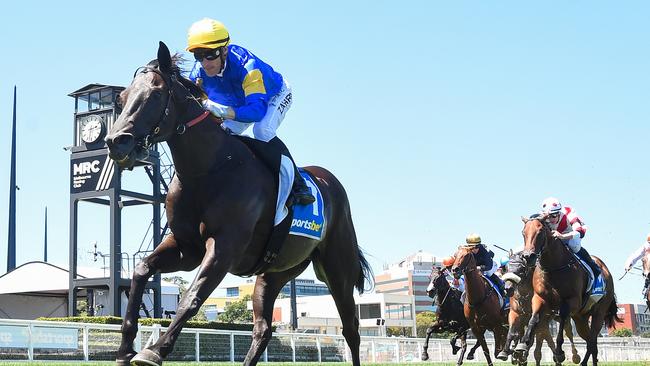 Punch Lane is a short-priced favourite in the final race at Flemington after a dominant last-star win. Picture: Pat Scala/Racing Photos via Getty Images